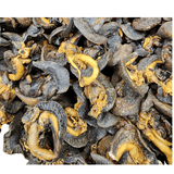 Dried Snails (Large) - 10 Pieces