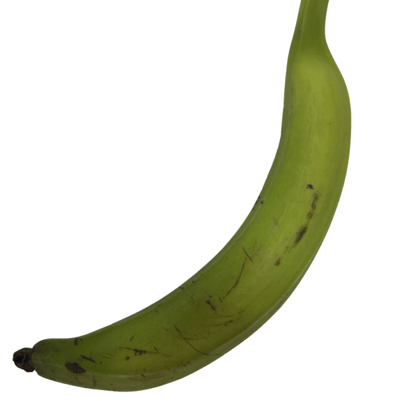 Fresh Large Plantain