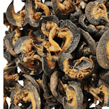 Dried Snails (Jumbo) - 8 pieces